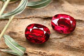 Why should I buy a Garnet?