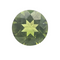 GIA Certified 2.87Cts Natural Peridot