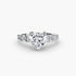 The Graduated Accent Ring