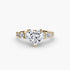 The Graduated Accent Ring