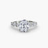 The Graduated Accent Ring