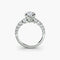 The Graduated Accent Ring