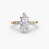 Solitaire with Shoulder Accents