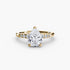 Solitaire with Shoulder Accents
