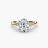 Solitaire with Shoulder Accents 2