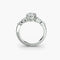 The Shoulder Cluster Ring