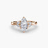 The Celestial Cluster Ring 2