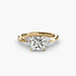 The Celestial Cluster Ring 2