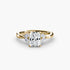 The Celestial Cluster Ring 2